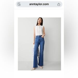 Classic Blue Women's Jeans
Ann Taylor